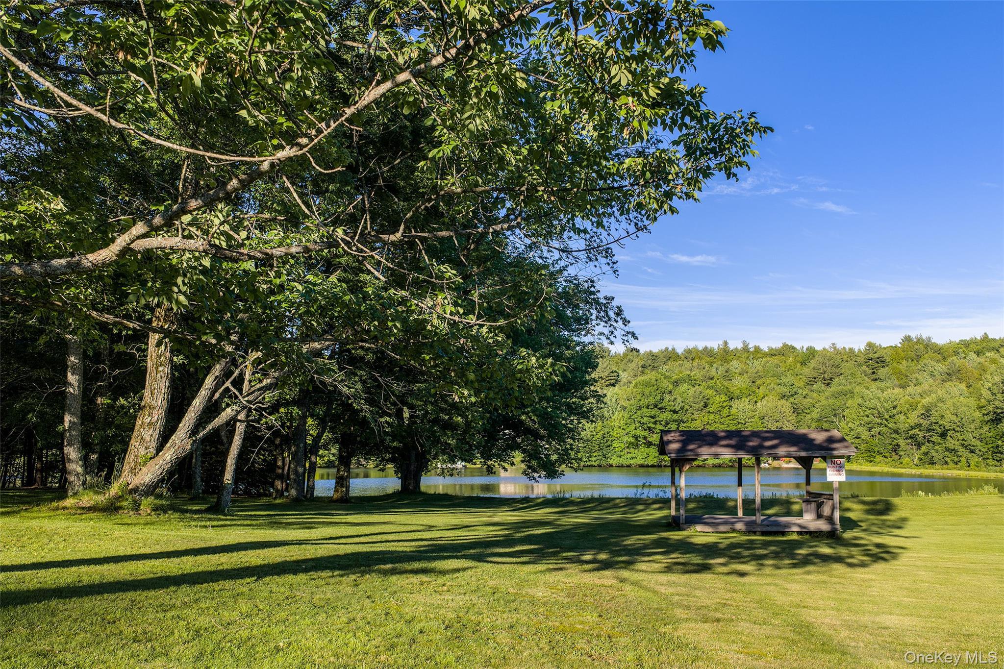 Single Family Sparrowhawk Lake Road Out Of Area, NY 12155, MLS-1021177-48