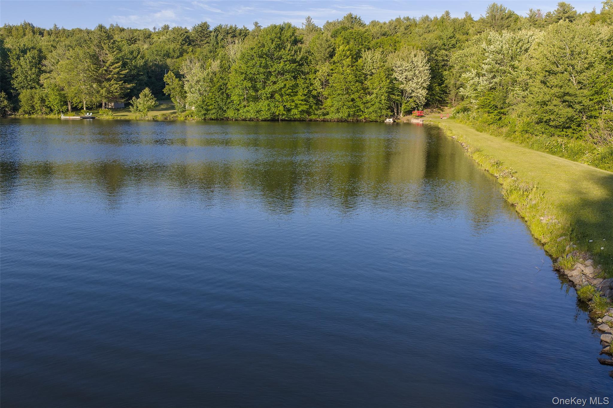 Single Family Sparrowhawk Lake Road Out Of Area, NY 12155, MLS-1021177-49