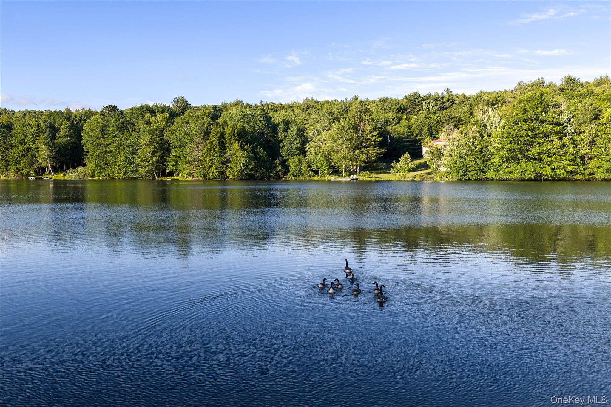 Single Family Sparrowhawk Lake Road  Out Of Area, NY 12155, MLS-1021177-50