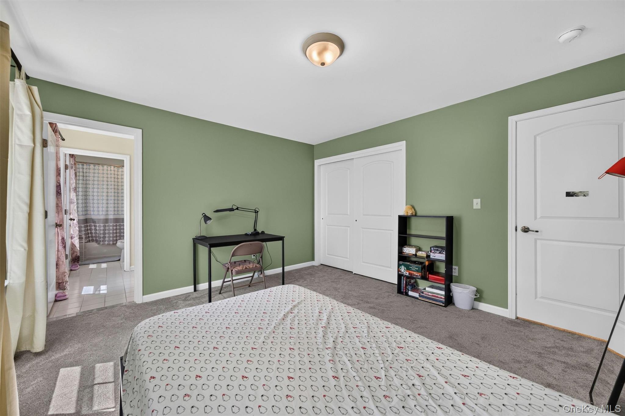 Single Family Meadow View Drive  Orange County, NY 10940, MLS-1021212-29