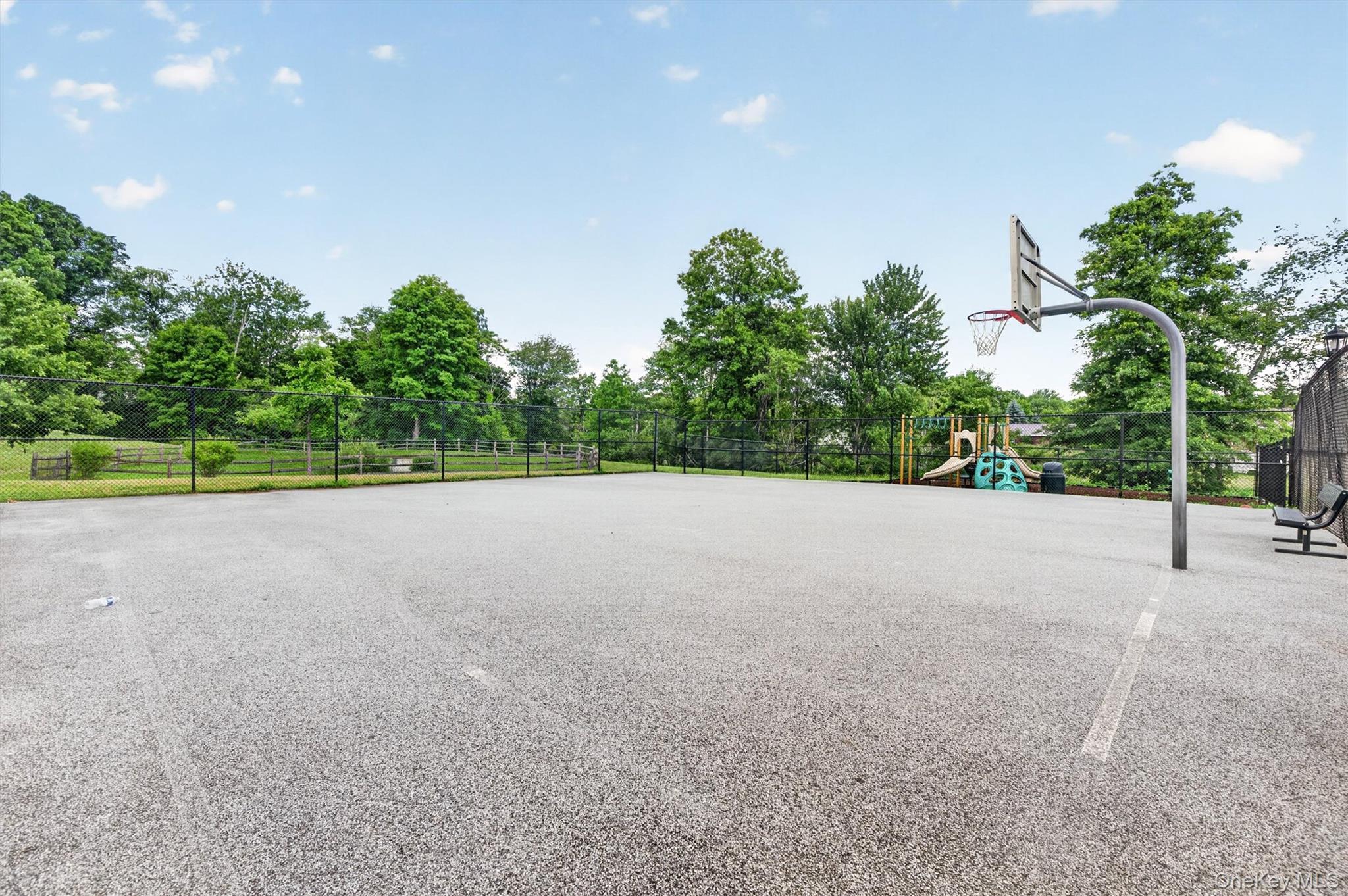 Single Family Meadow View Drive  Orange County, NY 10940, MLS-1021212-46