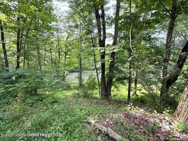 Single Family Berme Road  Ulster County, NY 12440, MLS-1021241-49