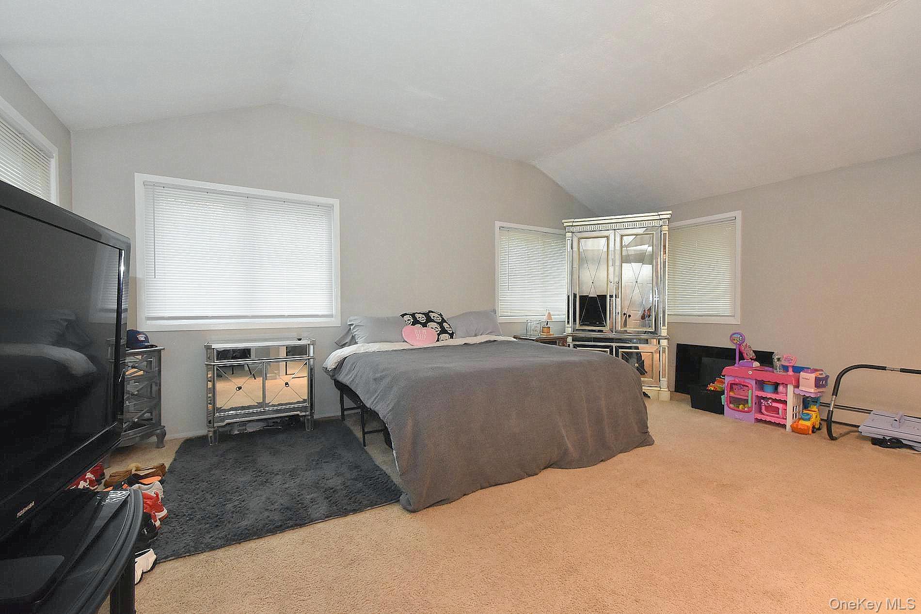 Single Family Balaton Avenue Suffolk County, NY 11779, MLS-1021279-10
