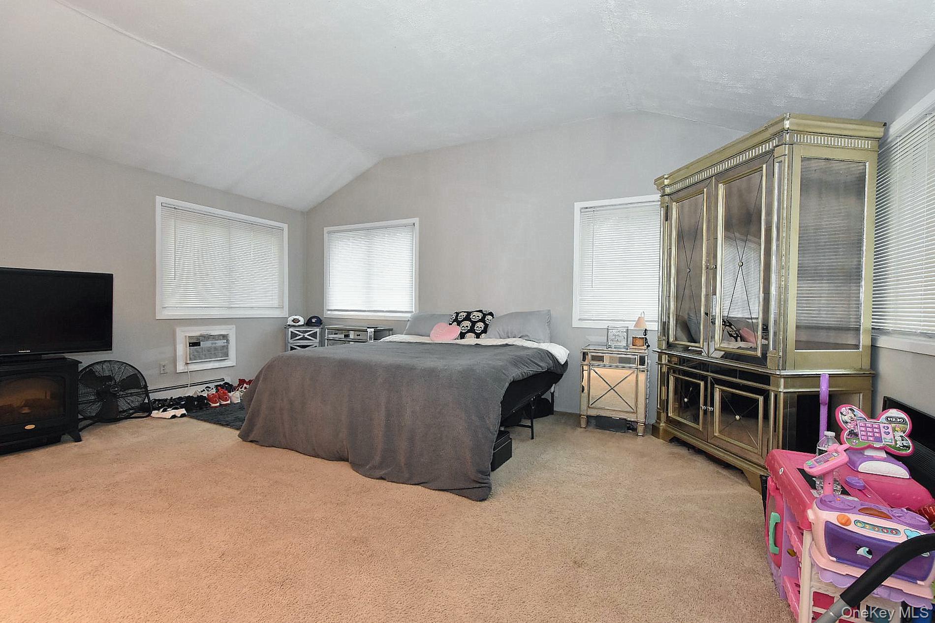 Single Family Balaton Avenue Suffolk County, NY 11779, MLS-1021279-11