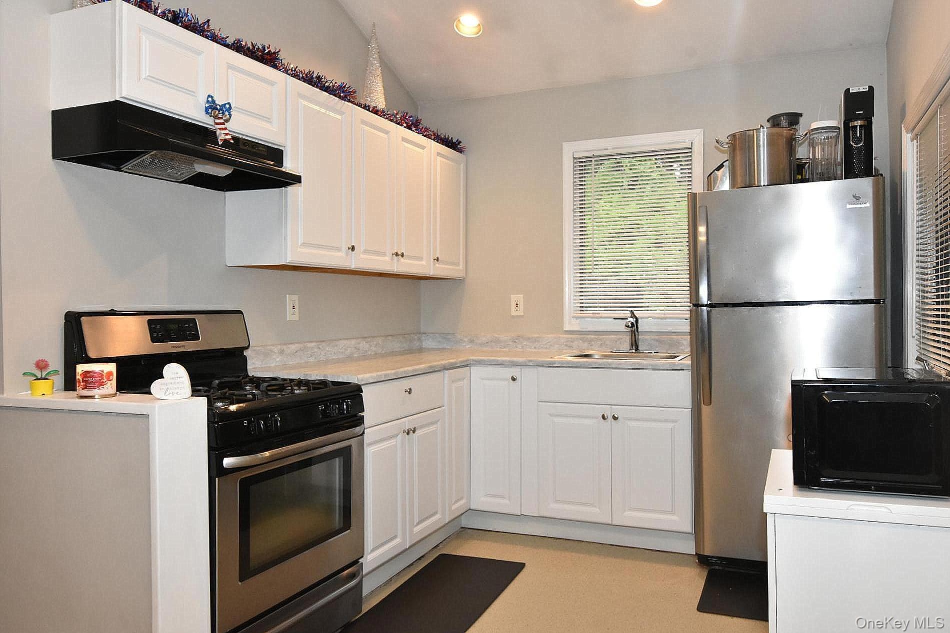 Single Family Balaton Avenue Suffolk County, NY 11779, MLS-1021279-3