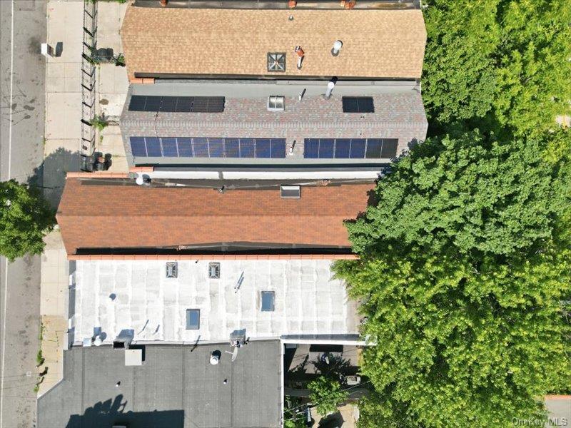 Single Family Pacific Street  Brooklyn, NY 11233, MLS-1021319-22