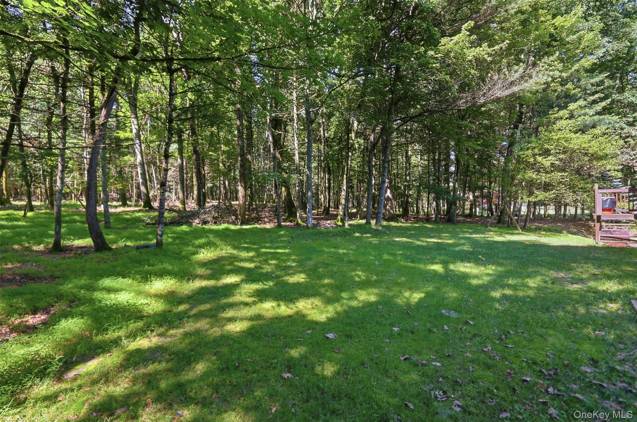Single Family Airport Road Sullivan County, NY 12732, MLS-1021387-41