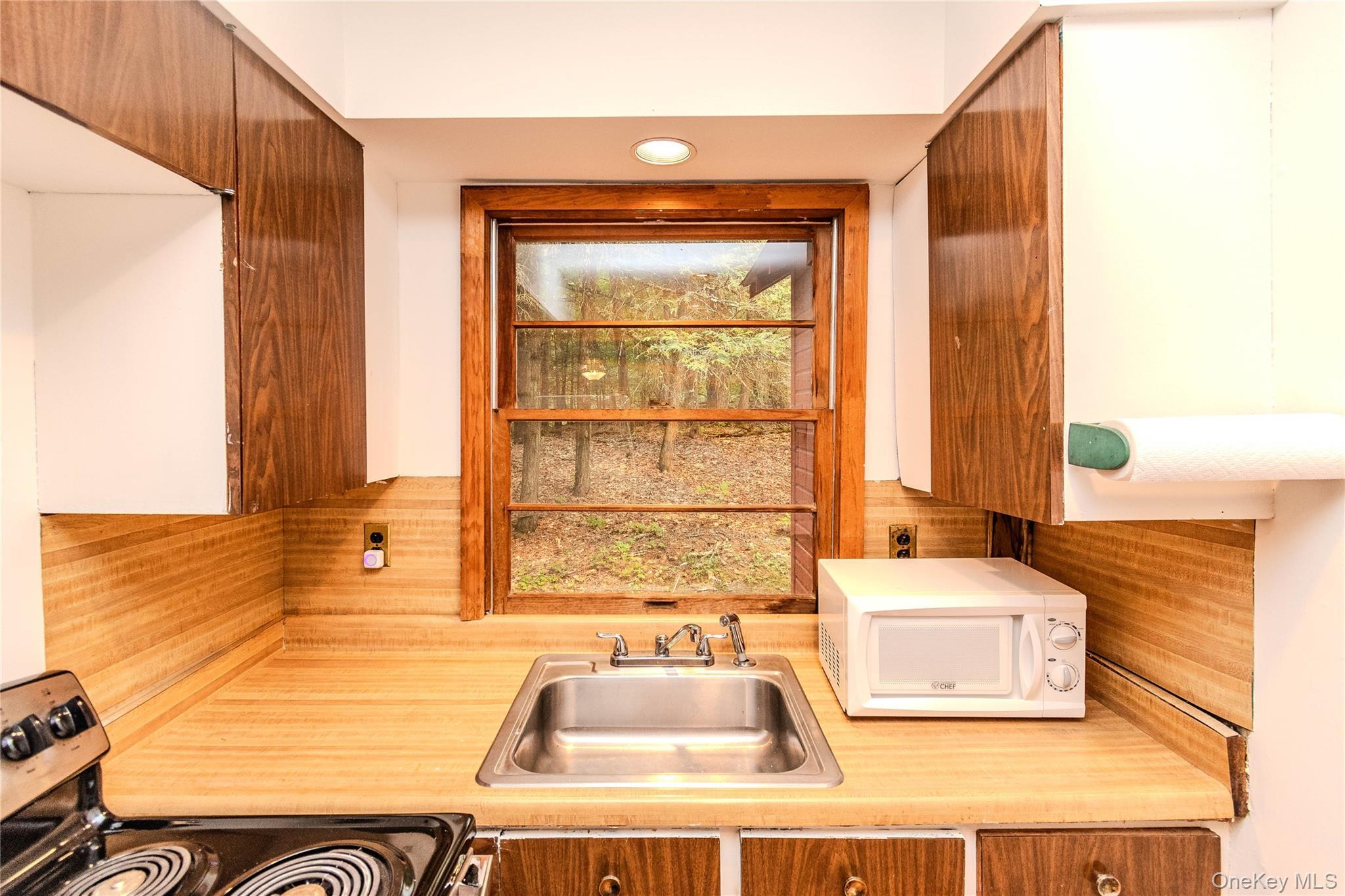 Single Family Canary Hill Road Ulster County, NY 12401, MLS-1021400-30