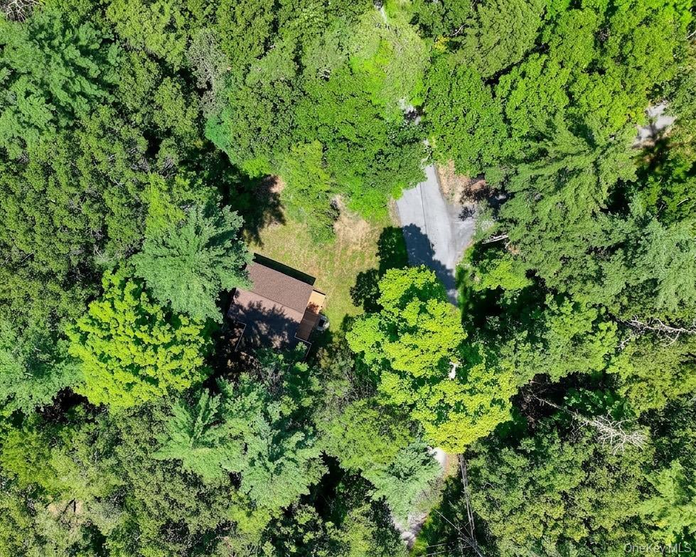 Single Family Canary Hill Road Ulster County, NY 12401, MLS-1021400-6
