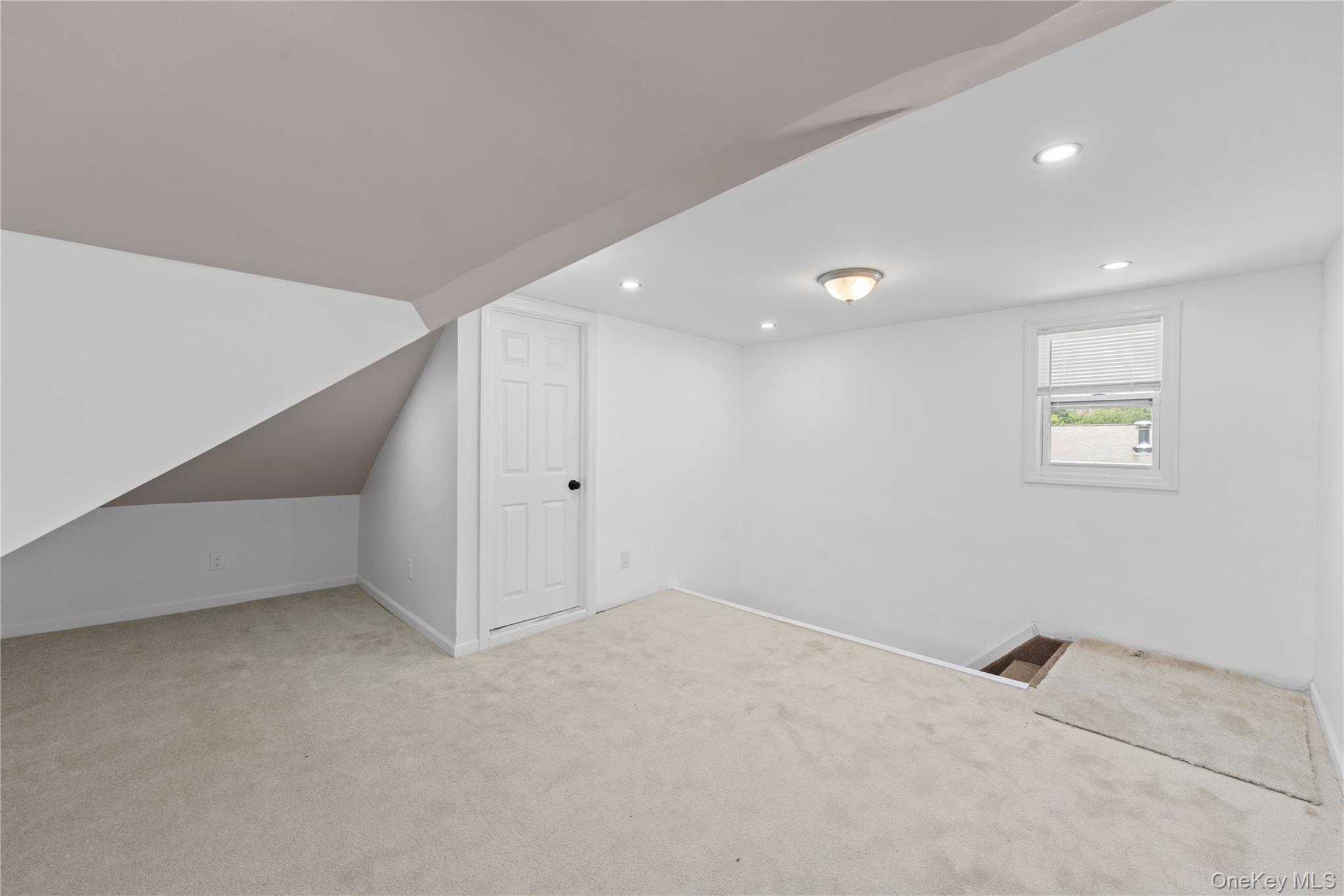 Single Family Newman Avenue Bronx, NY 10473, MLS-1021403-29