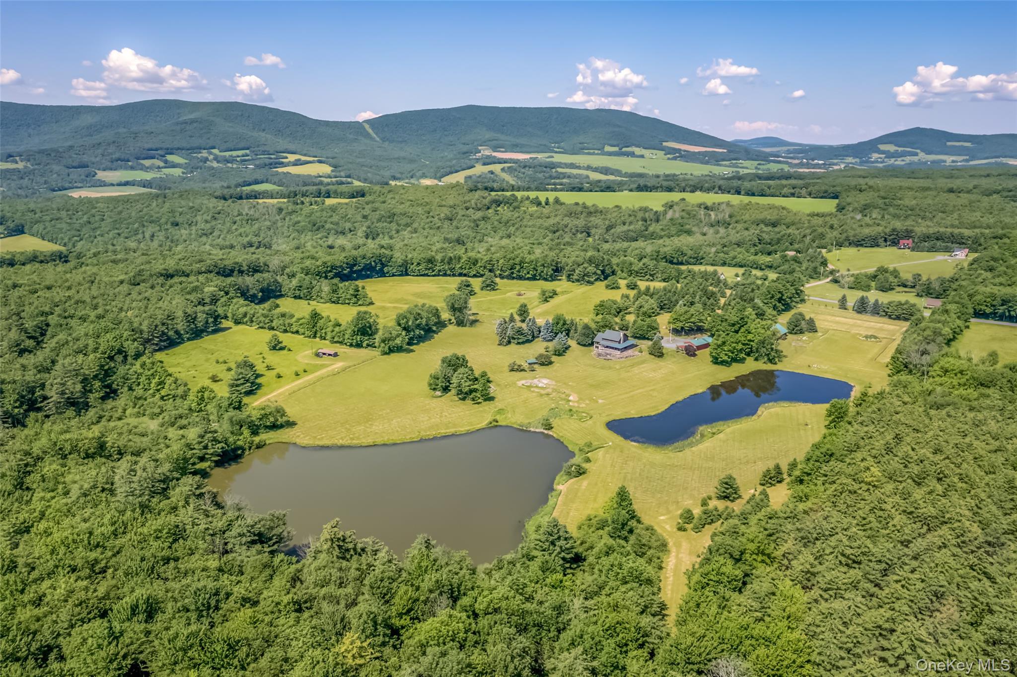 Single Family Bruce Porn Road  Out Of Area, NY 12167, MLS-1021429-2