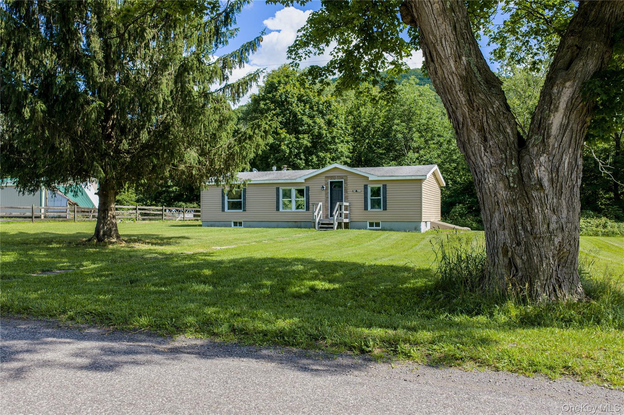 Single Family Roses Brook Road Delaware County, NY 13842, MLS-1021475-2