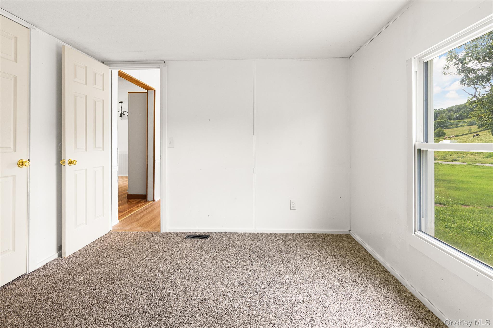 Single Family Roses Brook Road Delaware County, NY 13842, MLS-1021475-26