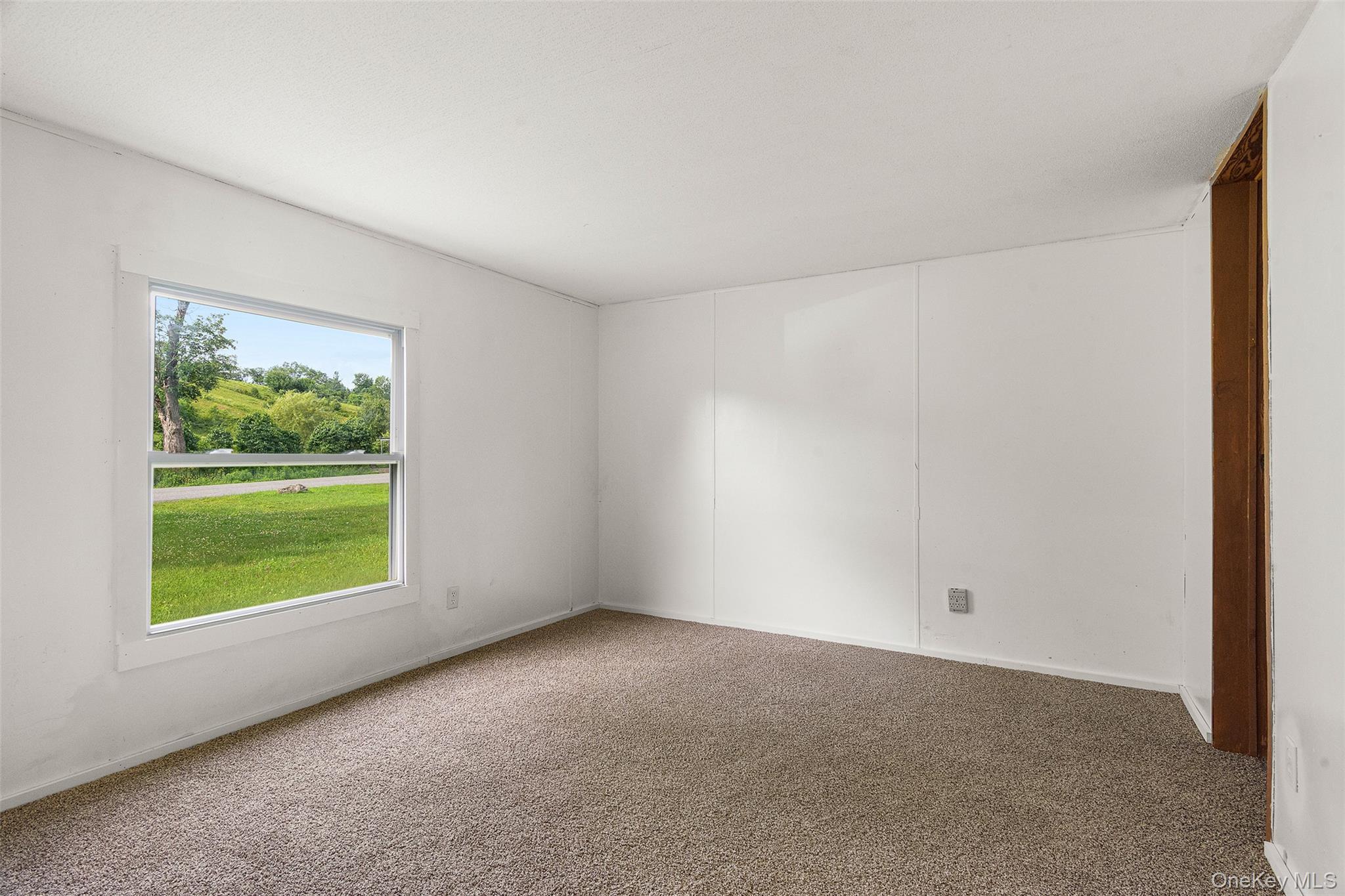 Single Family Roses Brook Road Delaware County, NY 13842, MLS-1021475-29