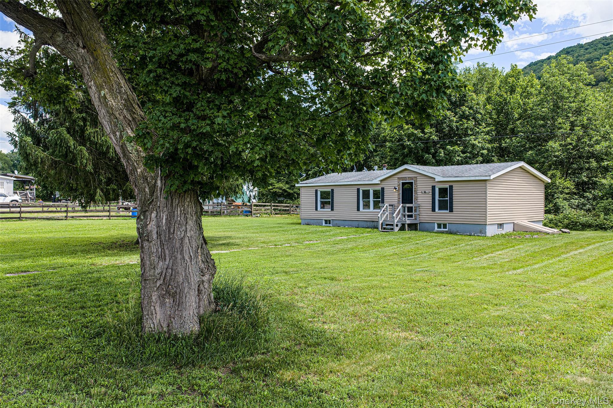 Single Family Roses Brook Road Delaware County, NY 13842, MLS-1021475-3