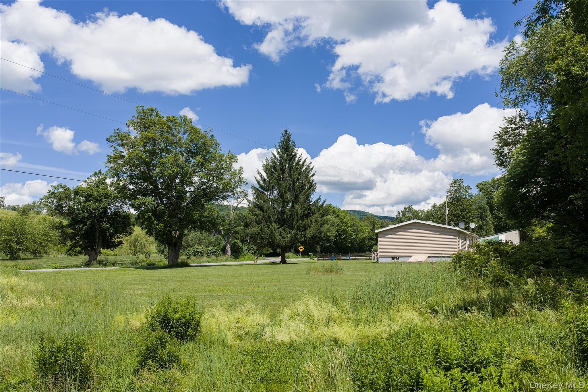 Single Family Roses Brook Road Delaware County, NY 13842, MLS-1021475-33