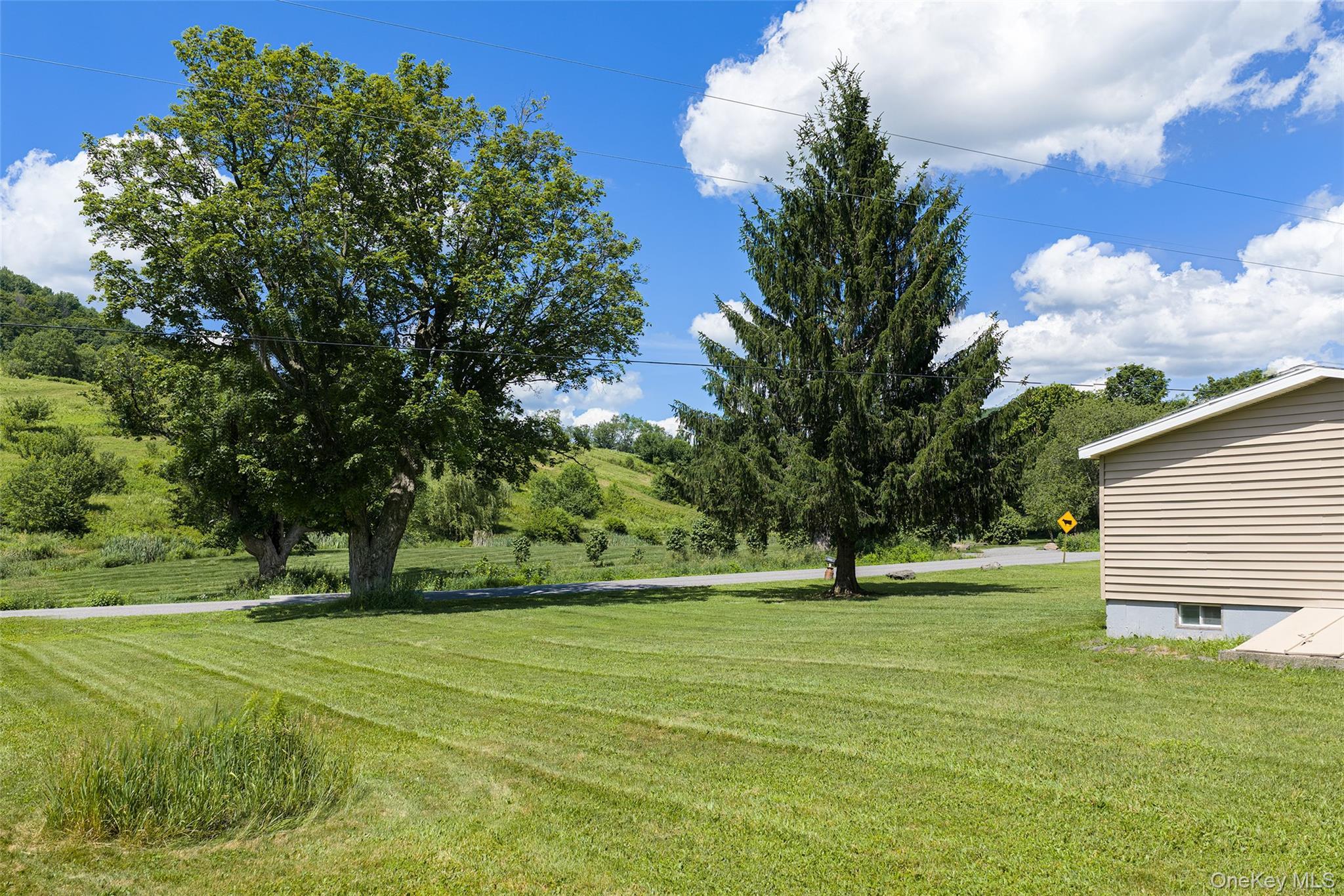 Single Family Roses Brook Road Delaware County, NY 13842, MLS-1021475-34