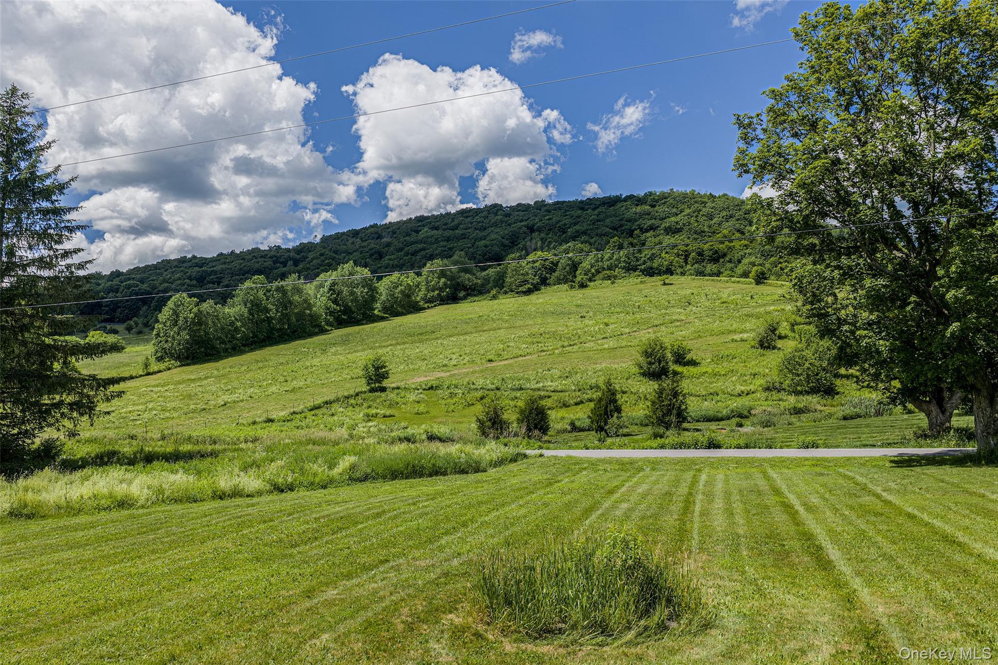 Single Family Roses Brook Road Delaware County, NY 13842, MLS-1021475-35