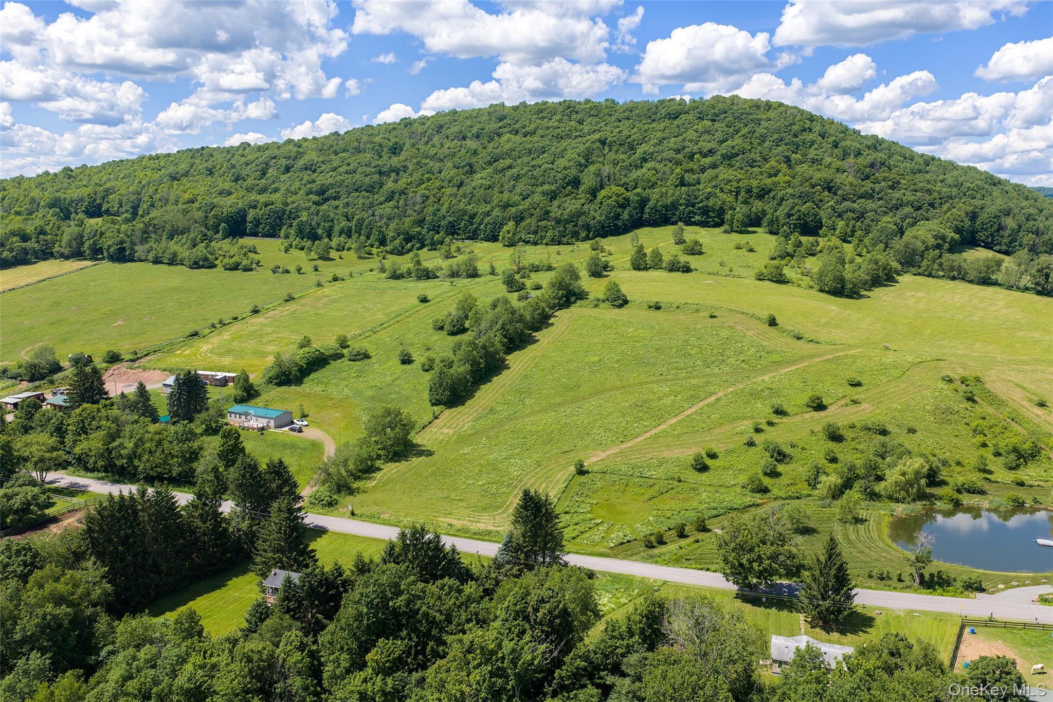 Single Family Roses Brook Road Delaware County, NY 13842, MLS-1021475-37