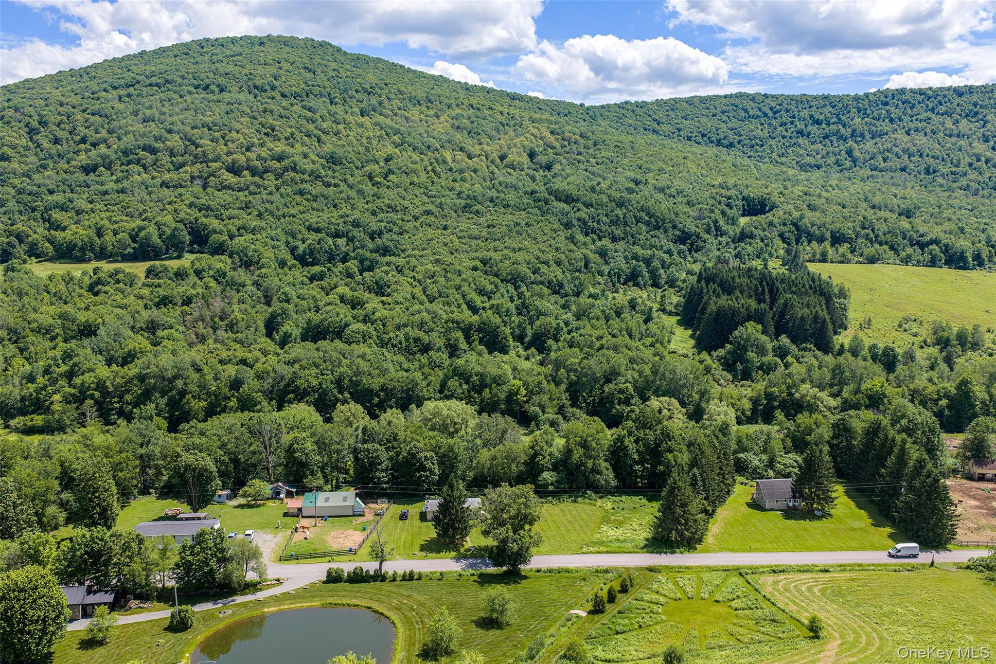 Single Family Roses Brook Road Delaware County, NY 13842, MLS-1021475-38