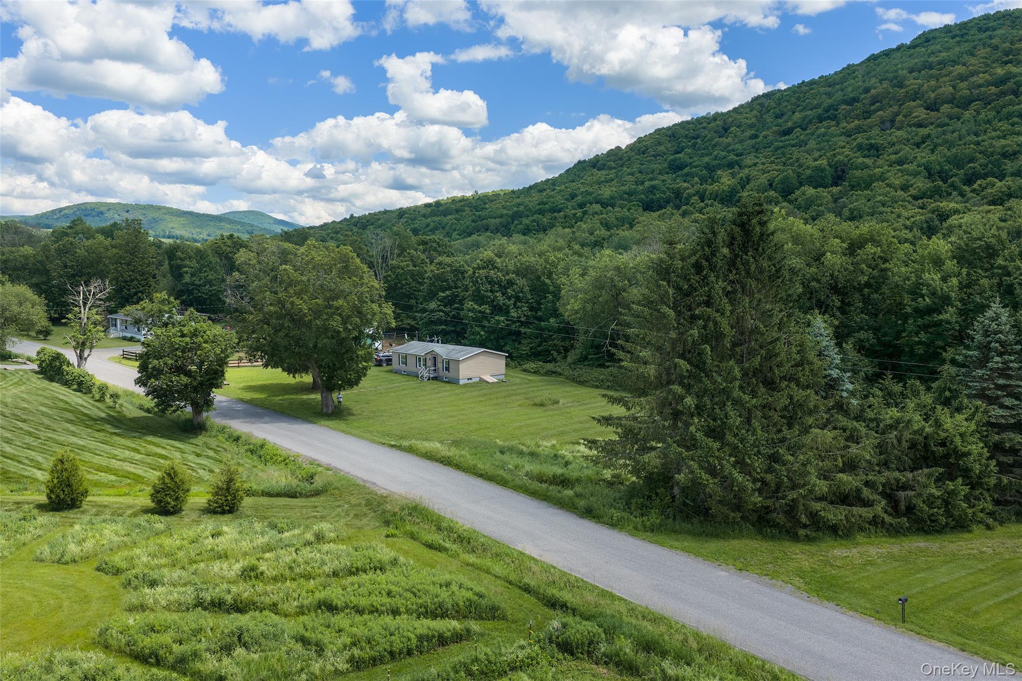 Single Family Roses Brook Road Delaware County, NY 13842, MLS-1021475-4