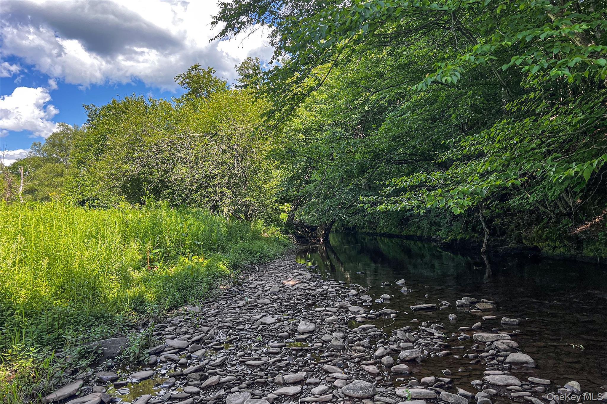 Single Family Roses Brook Road Delaware County, NY 13842, MLS-1021475-40