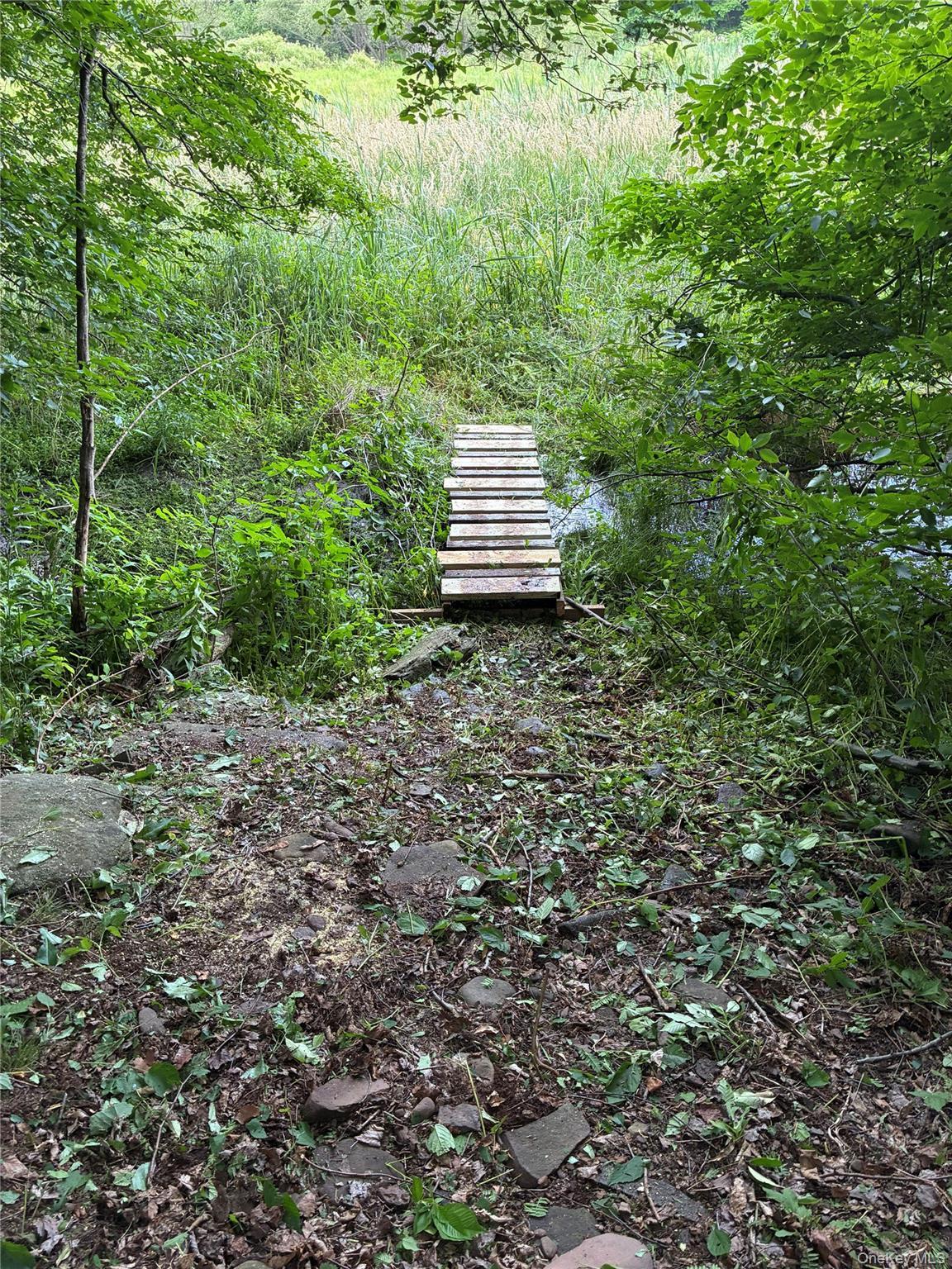Single Family Roses Brook Road Delaware County, NY 13842, MLS-1021475-45