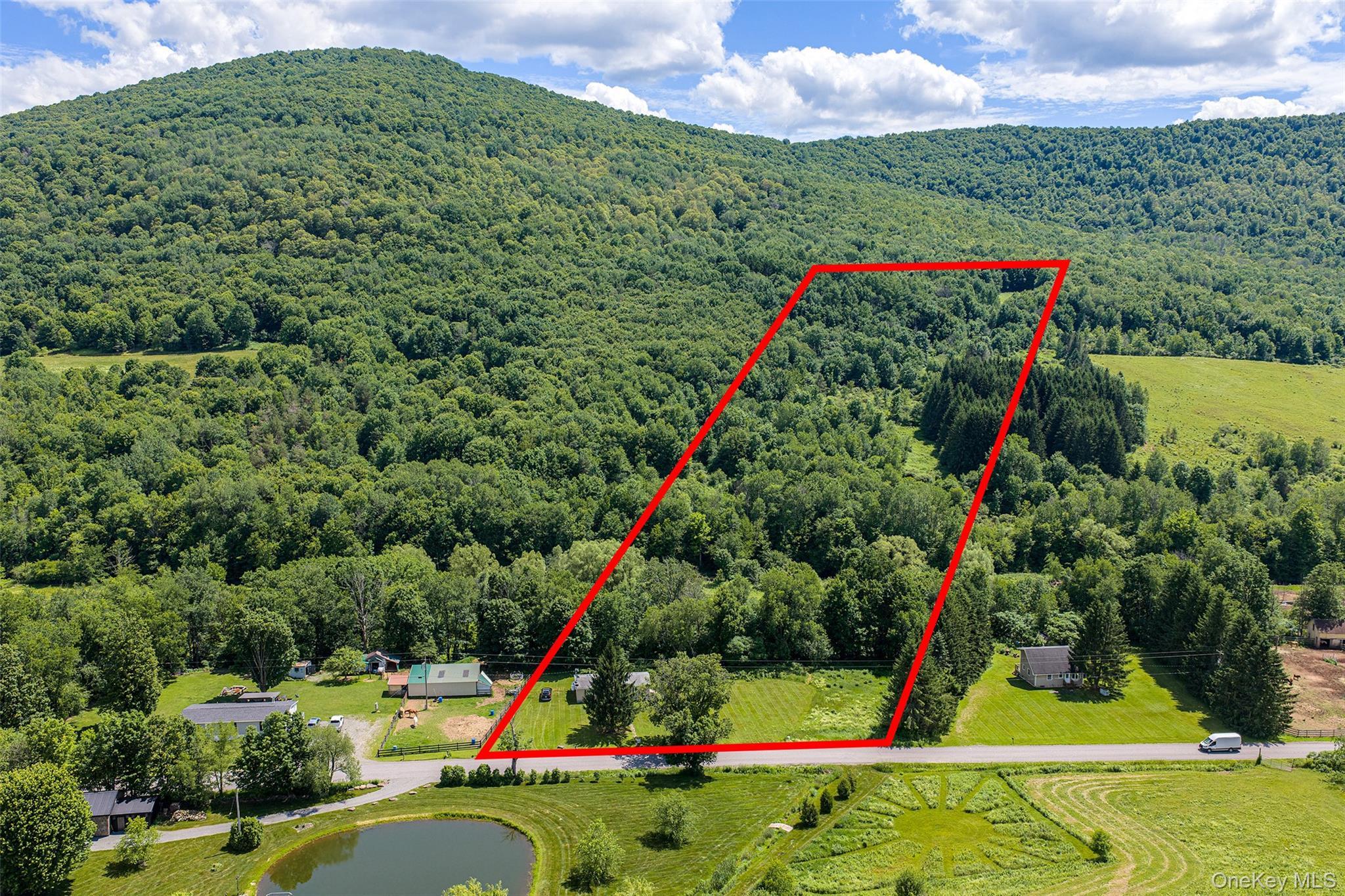 Single Family Roses Brook Road Delaware County, NY 13842, MLS-1021475-46