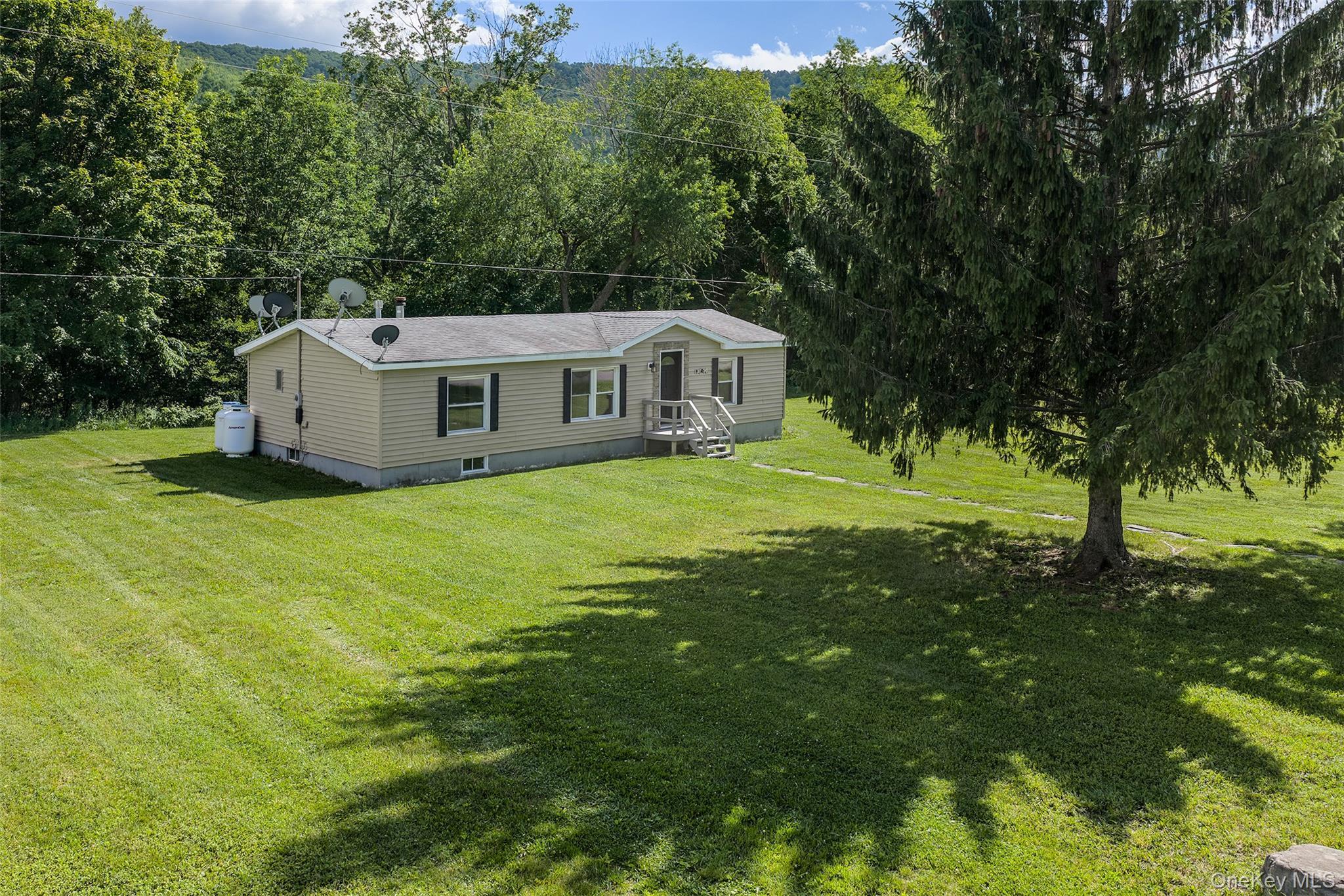 Single Family Roses Brook Road Delaware County, NY 13842, MLS-1021475-5