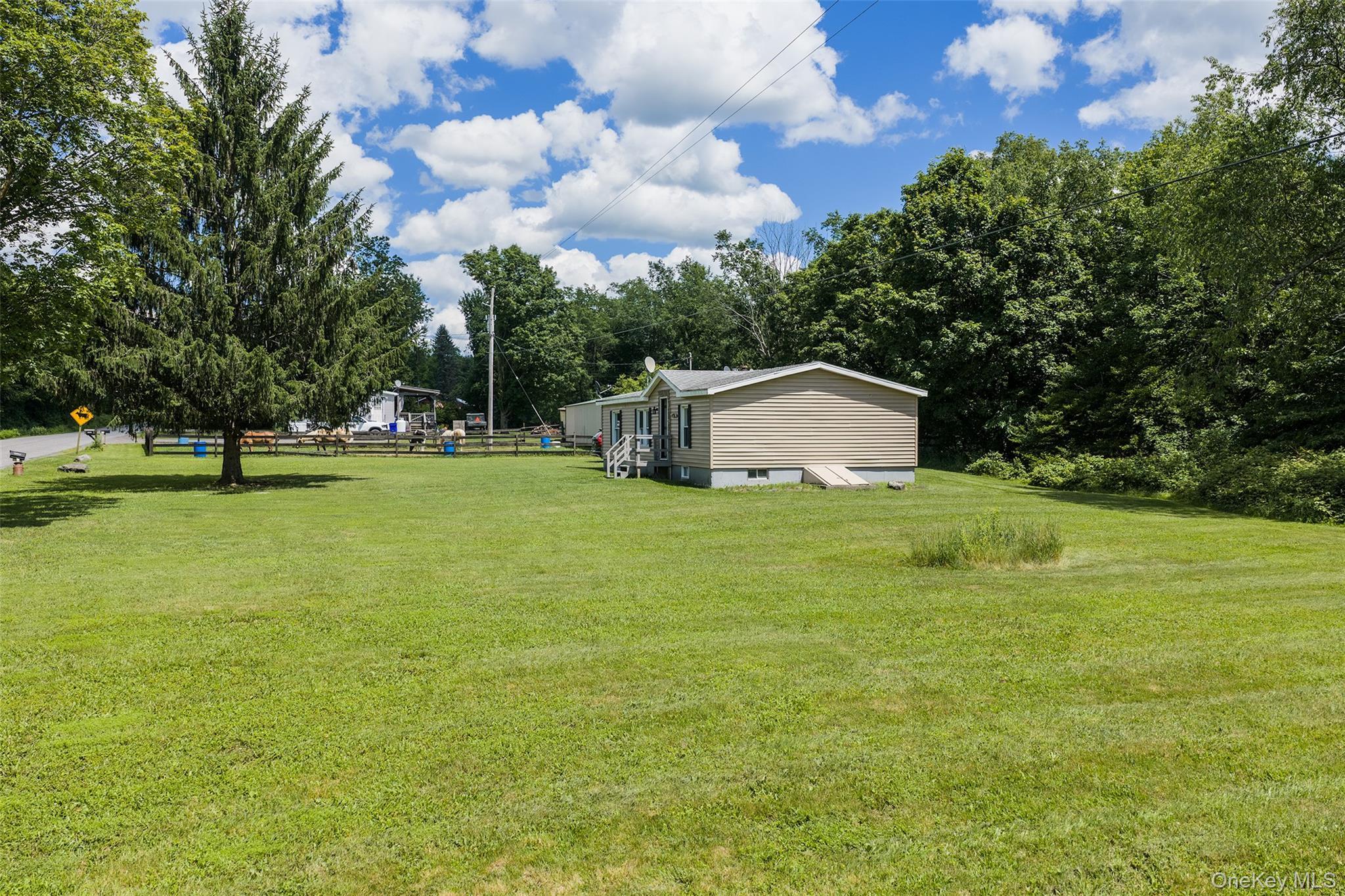 Single Family Roses Brook Road Delaware County, NY 13842, MLS-1021475-6