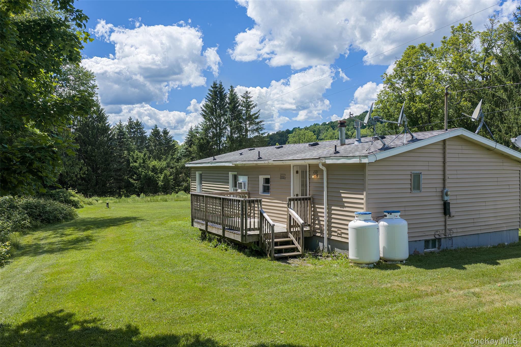 Single Family Roses Brook Road Delaware County, NY 13842, MLS-1021475-7