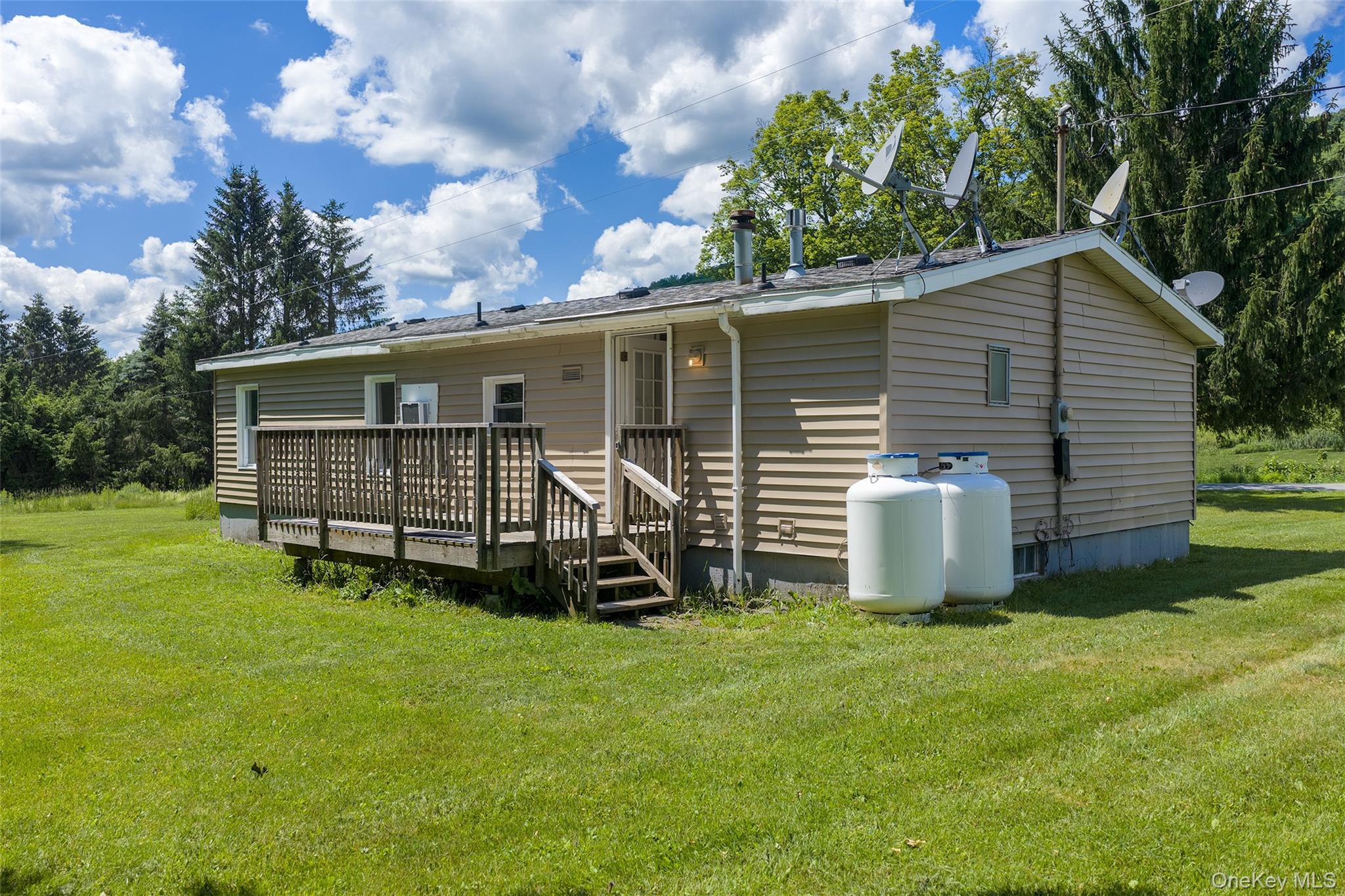 Single Family Roses Brook Road Delaware County, NY 13842, MLS-1021475-8