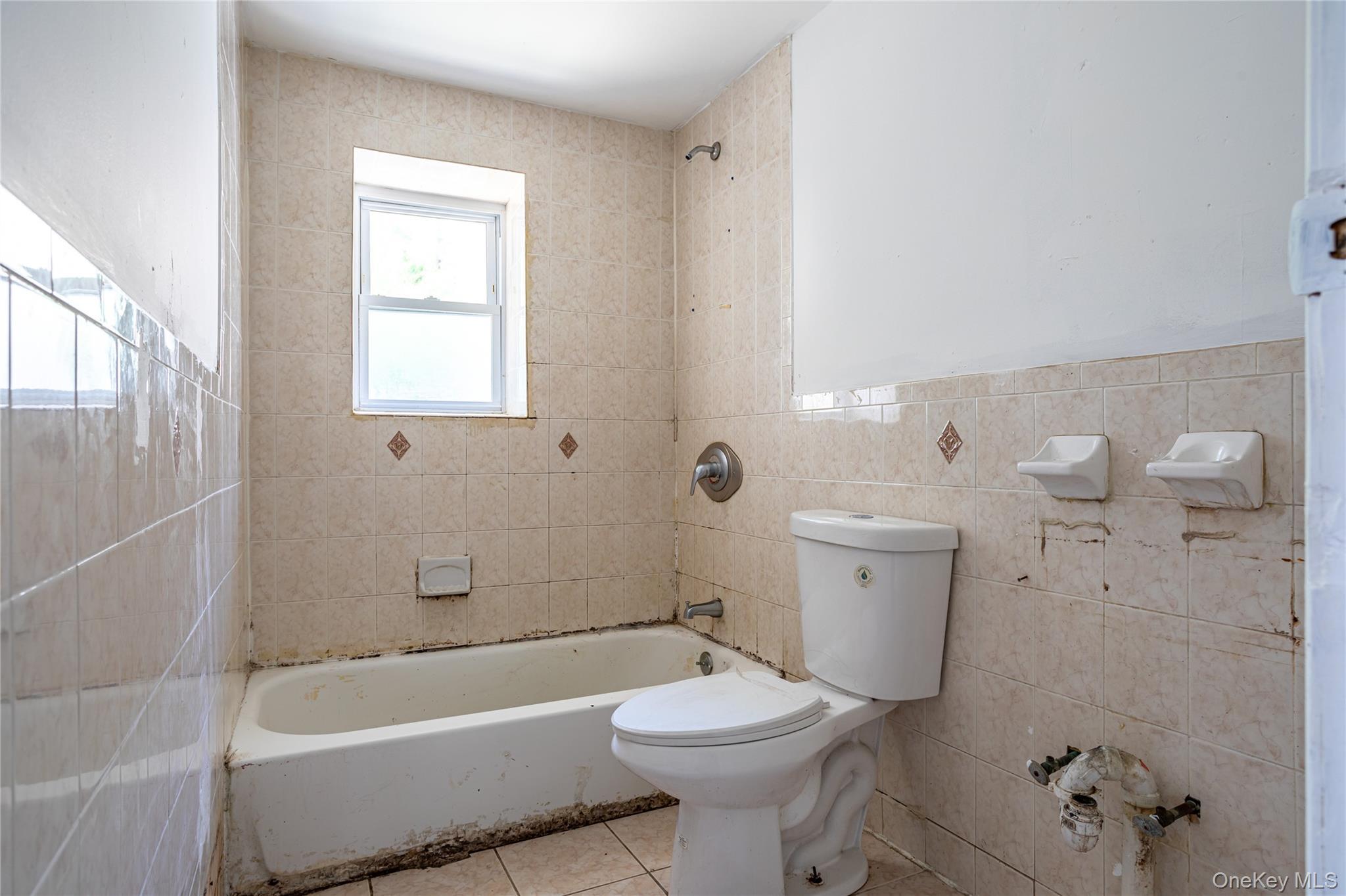 Single Family Grove Street Staten Island, NY 10304, MLS-1021486-11