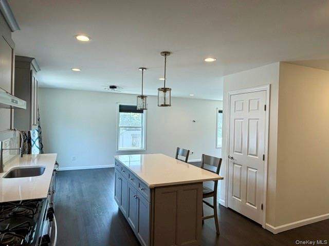 Single Family Comet Place Suffolk County, NY 11772, MLS-1021494-10