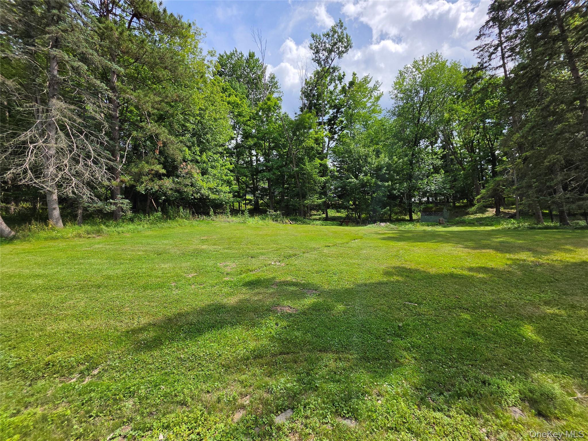 Single Family Country Club Road Broome County, NY 13850, MLS-1021510-14