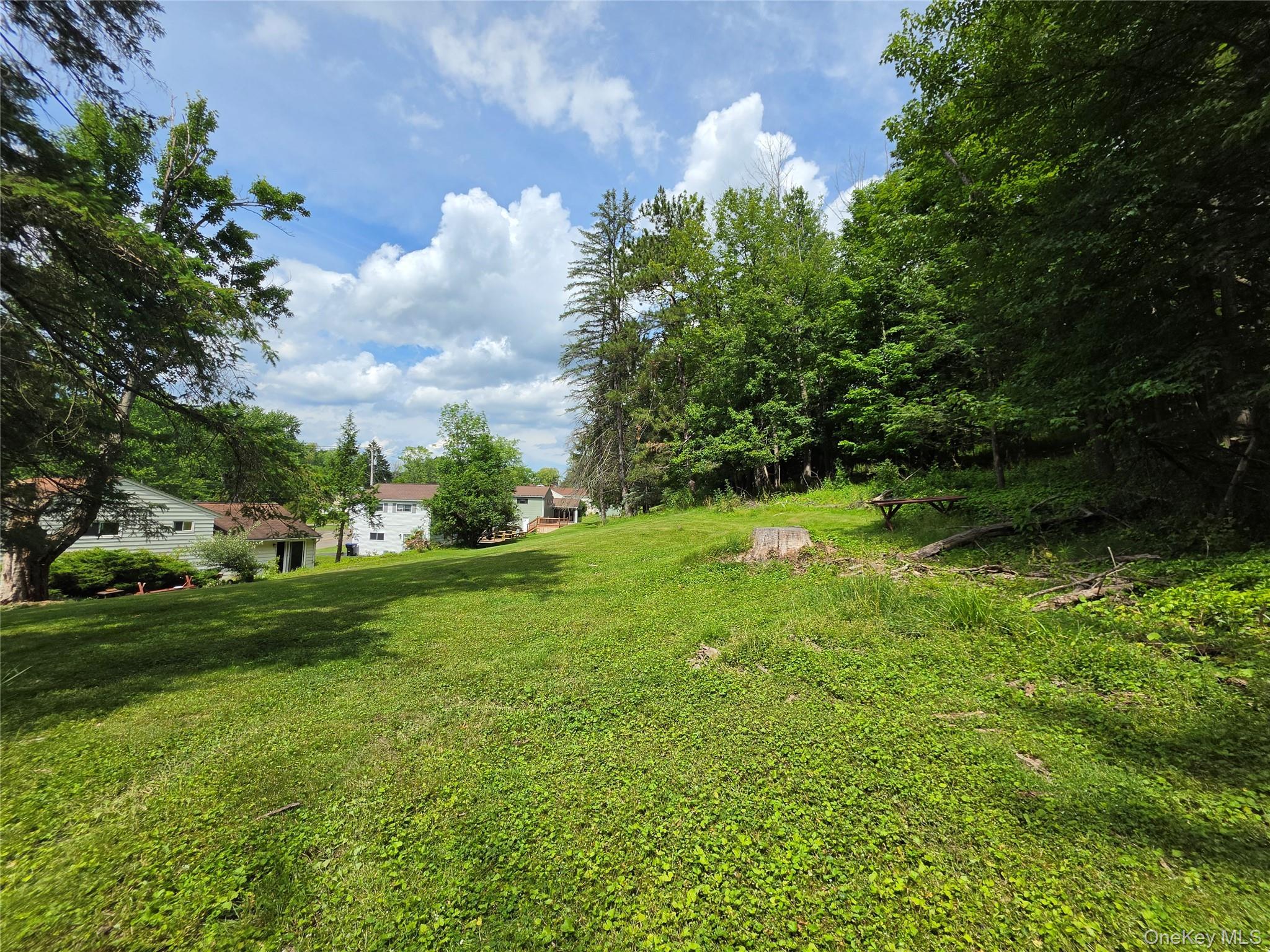 Single Family Country Club Road  Broome County, NY 13850, MLS-1021510-15