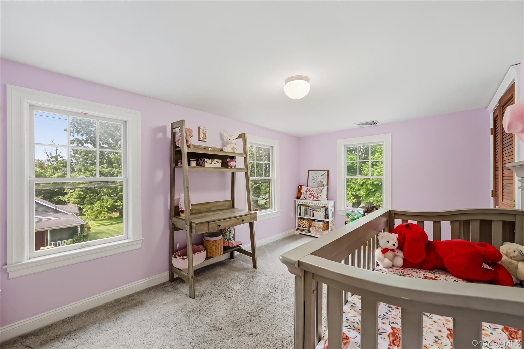 Single Family Pulaski Highway Orange County, NY 10969, MLS-1021566-30