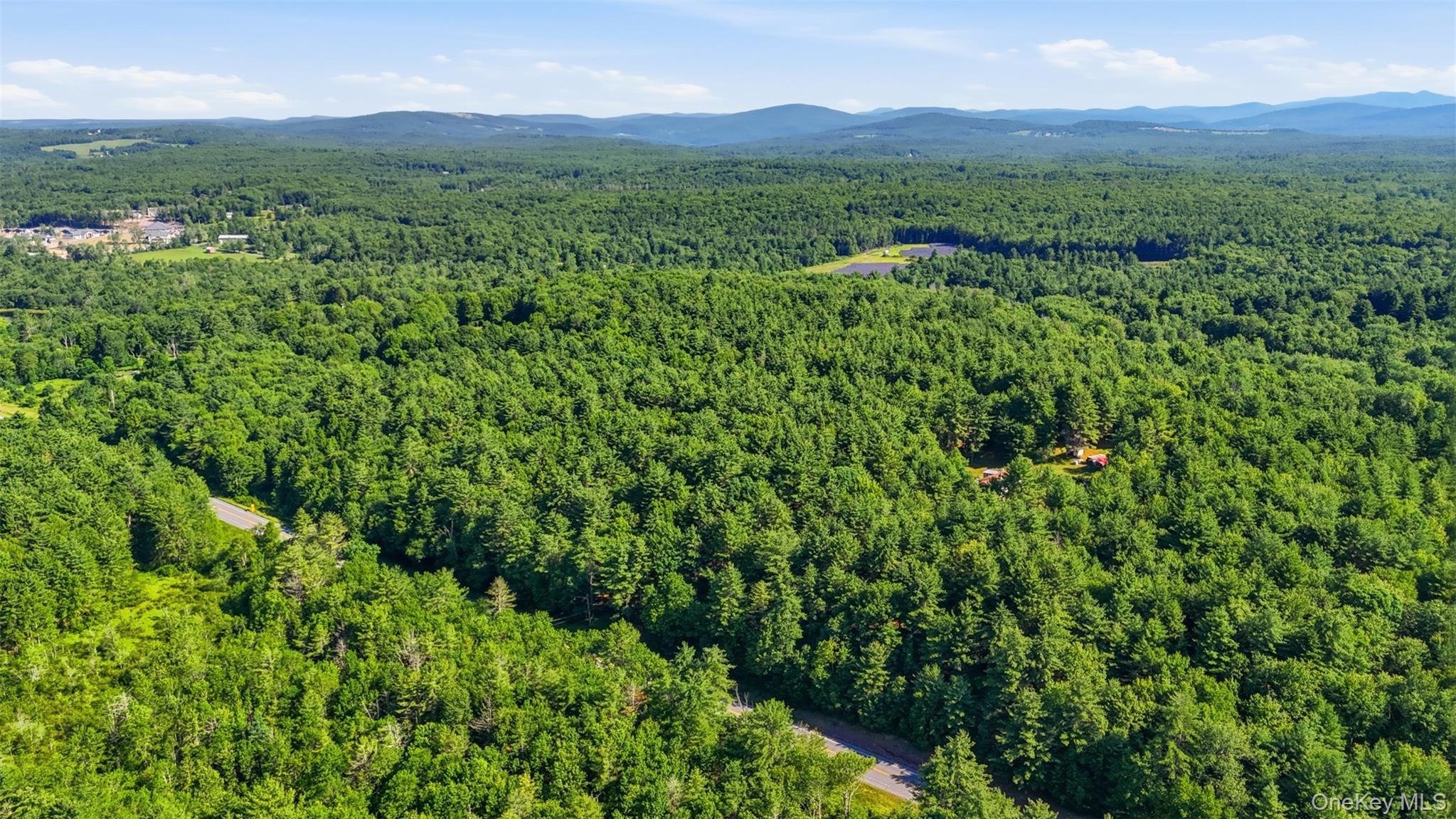 Single Family State Route 52  Ulster County, NY 12435, MLS-1021585-11
