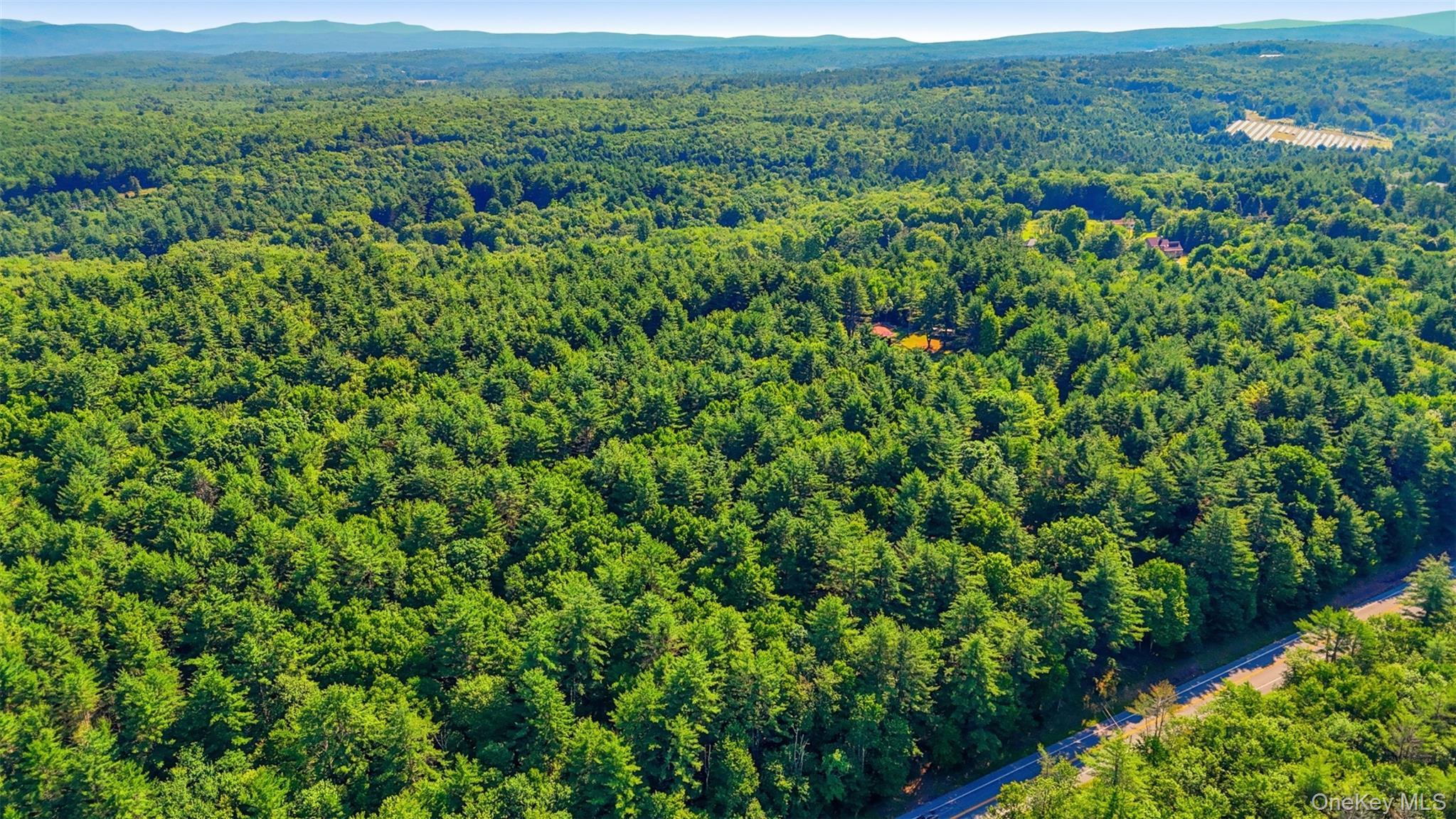 Single Family State Route 52  Ulster County, NY 12435, MLS-1021585-12
