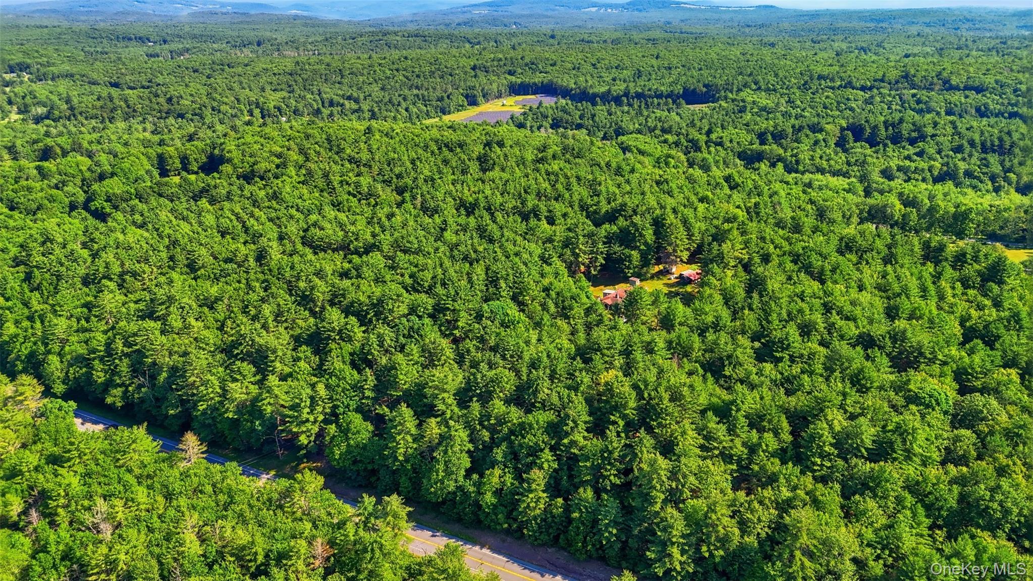 Single Family State Route 52  Ulster County, NY 12435, MLS-1021585-13