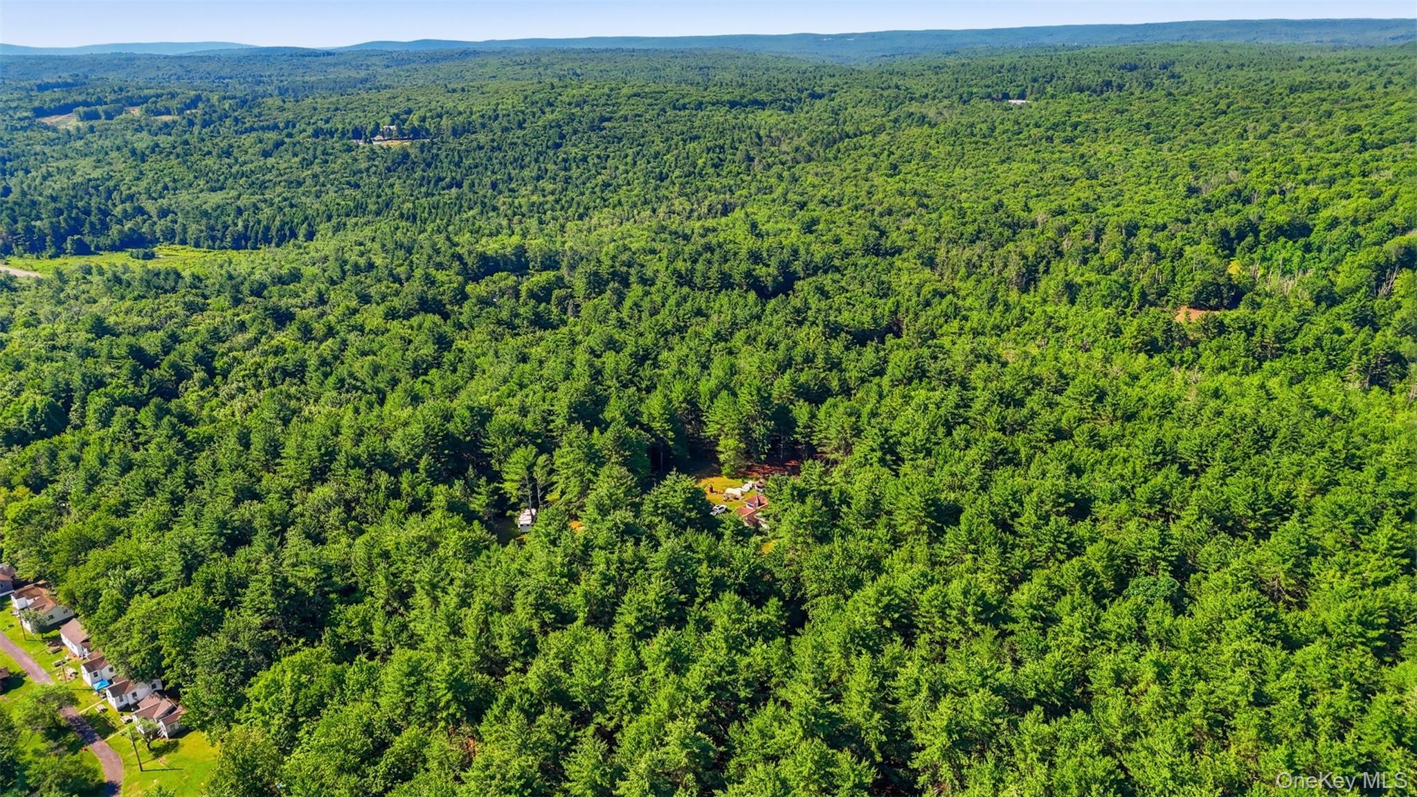Single Family State Route 52  Ulster County, NY 12435, MLS-1021585-14