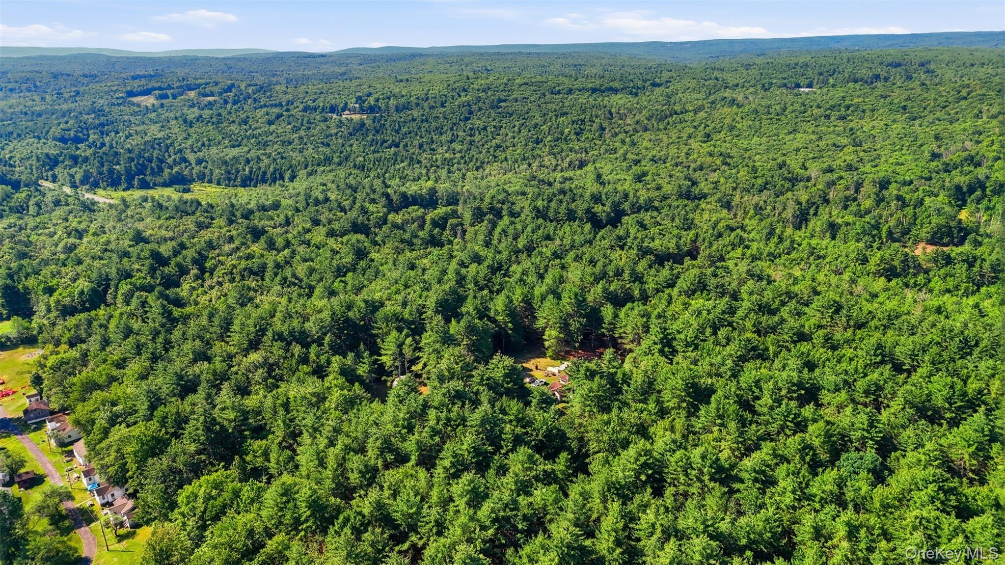 Single Family State Route 52  Ulster County, NY 12435, MLS-1021585-15