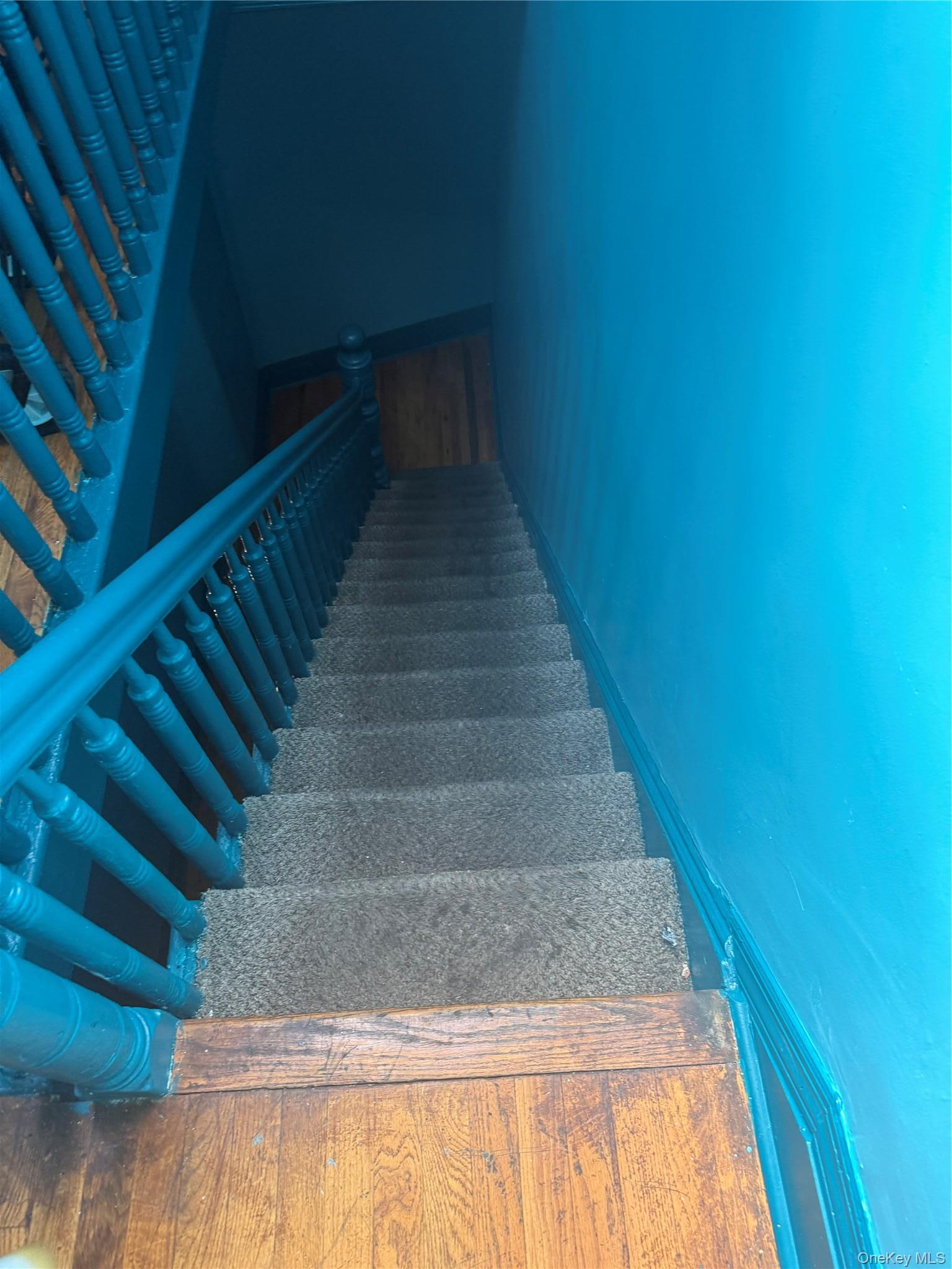 Single Family Washington Avenue  Bronx, NY 10457, MLS-1021594-5