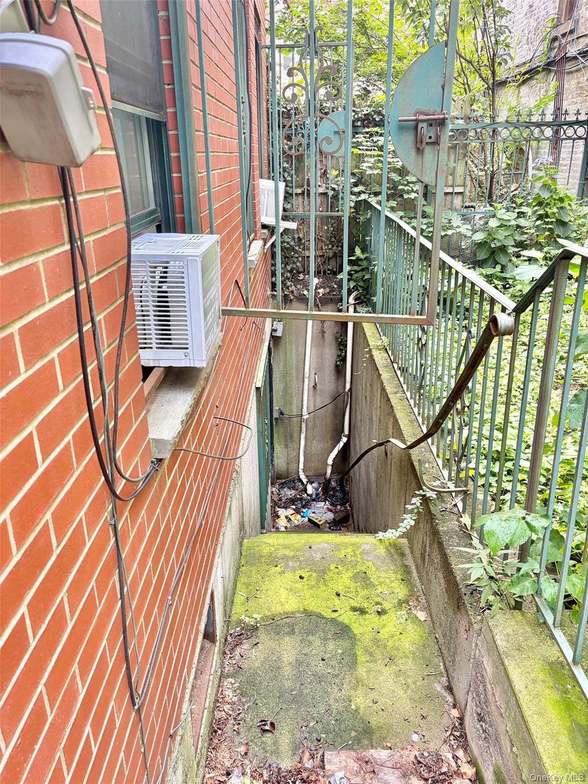 Single Family Classon Avenue Brooklyn, NY 11238, MLS-1021671-25