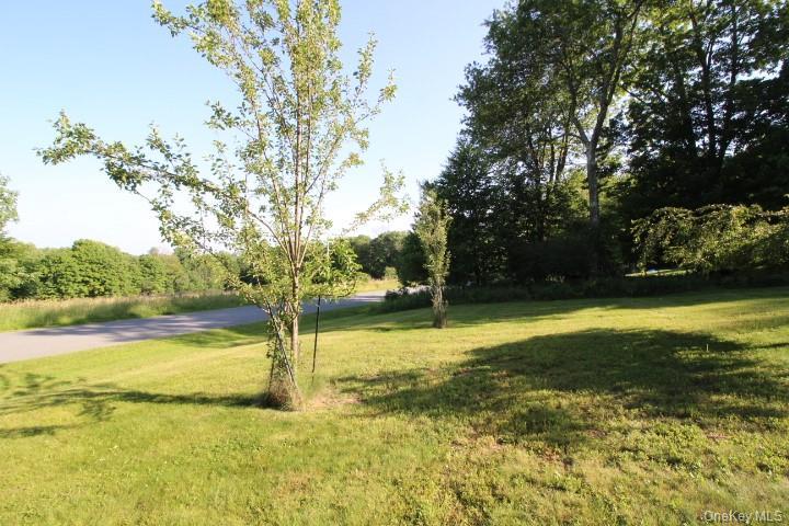 Single Family Stump Pond Road Sullivan County, NY 12758, MLS-1021673-10