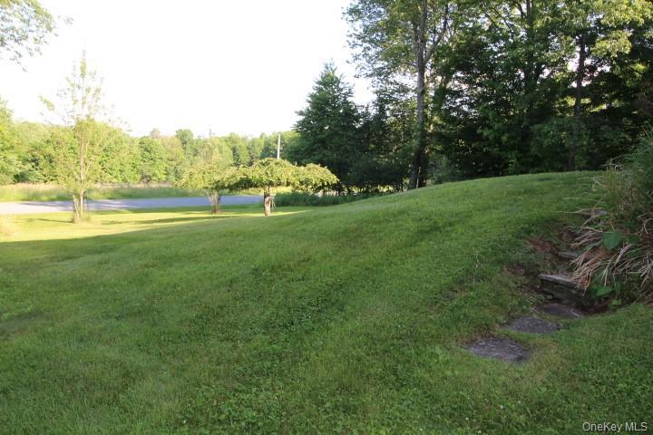 Single Family Stump Pond Road Sullivan County, NY 12758, MLS-1021673-8