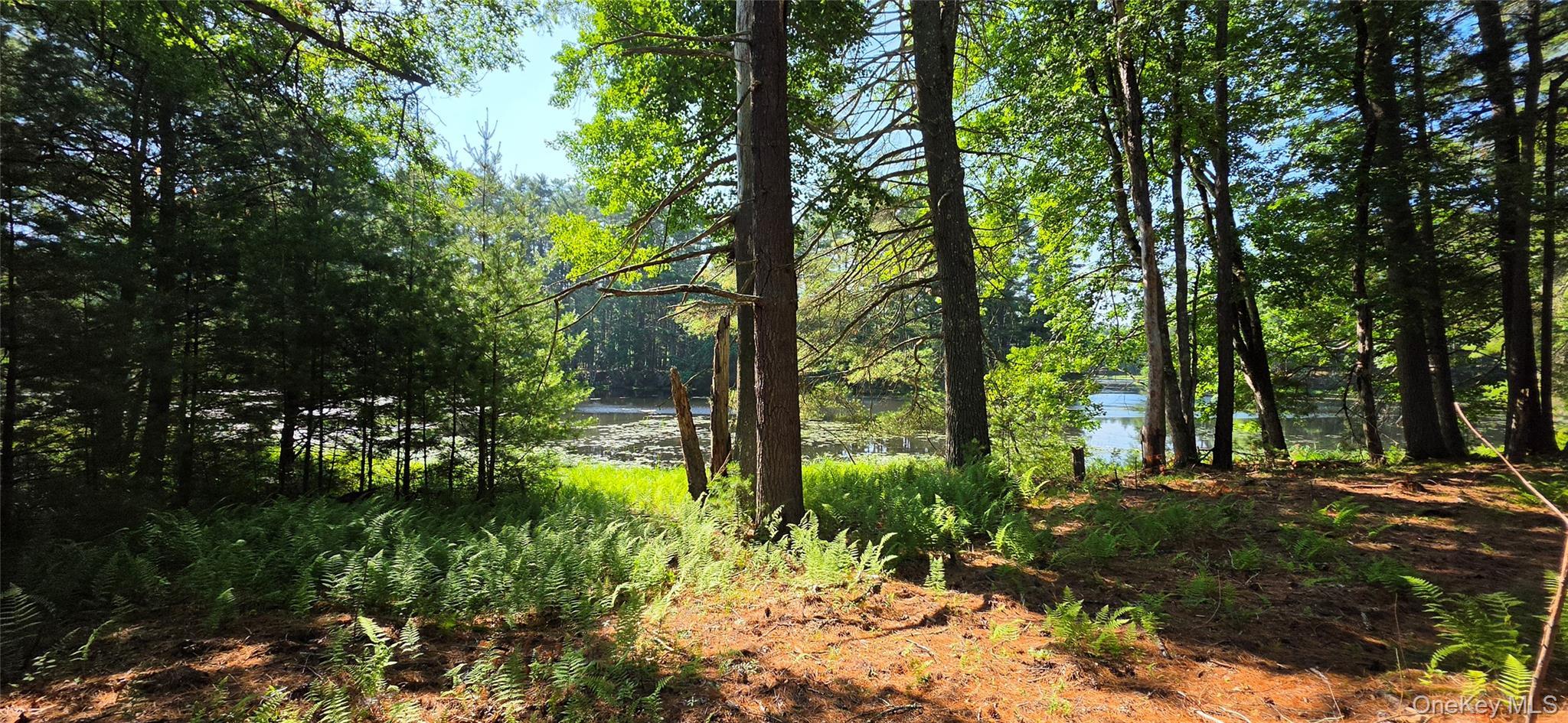 Single Family Beaver Brook Road  Sullivan County, NY 12764, MLS-1021713-20