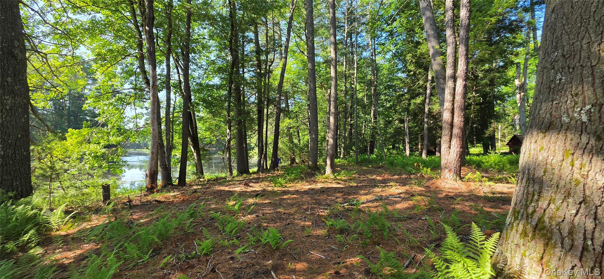Single Family Beaver Brook Road  Sullivan County, NY 12764, MLS-1021713-21