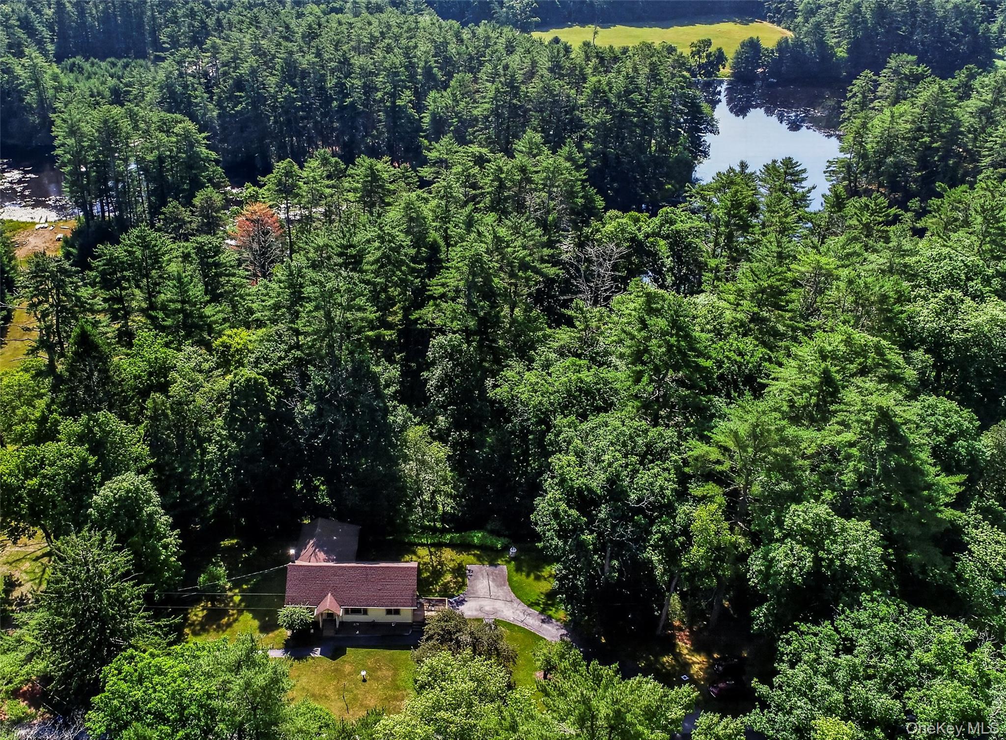 Single Family Beaver Brook Road  Sullivan County, NY 12764, MLS-1021713-26