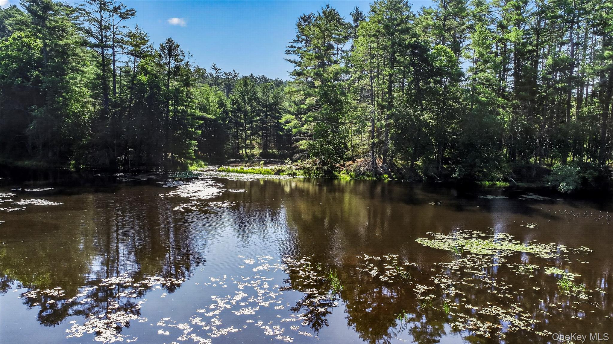 Single Family Beaver Brook Road  Sullivan County, NY 12764, MLS-1021713-28